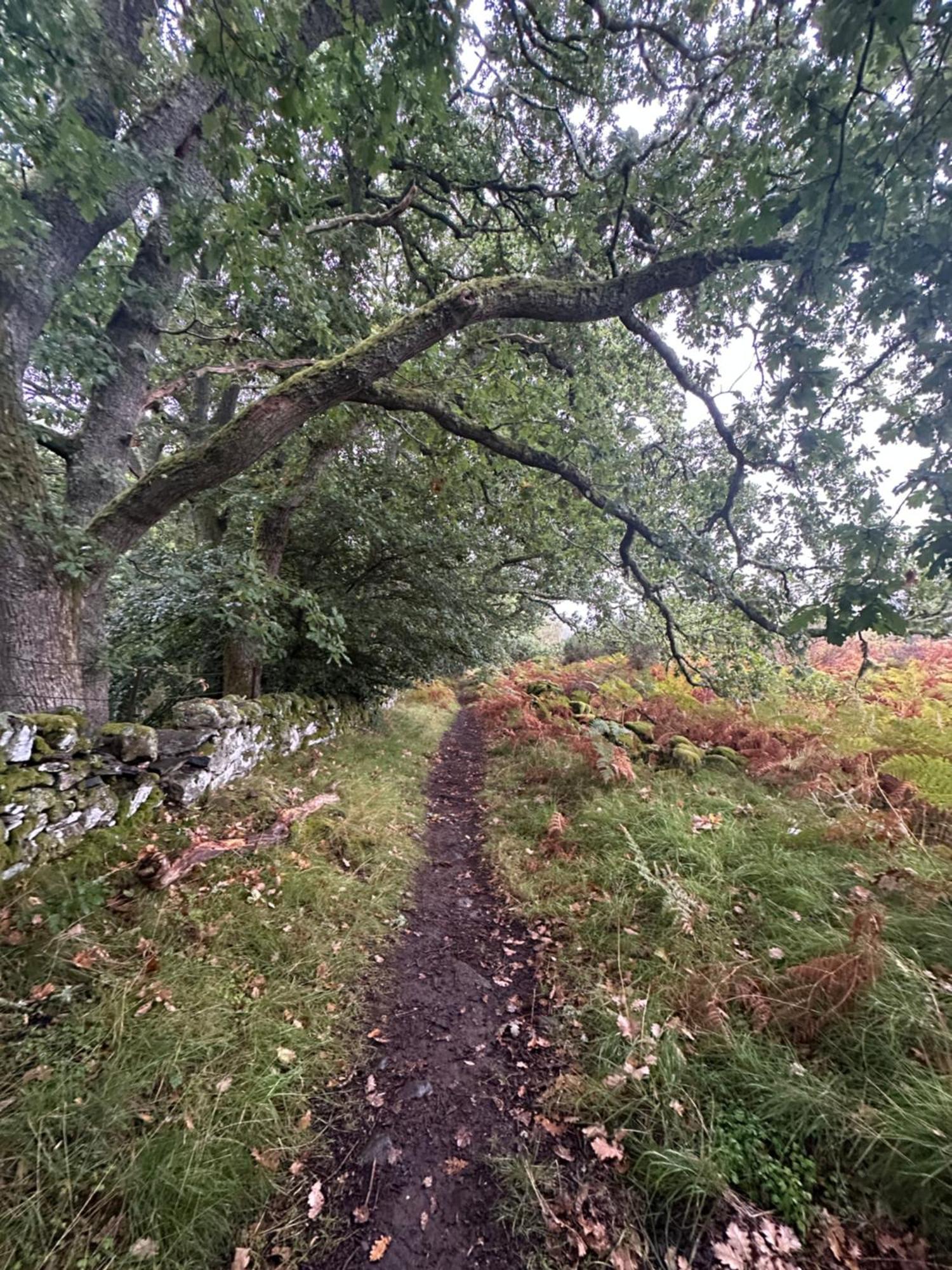 Red Squirrel Cottage Strathtay 外观 照片